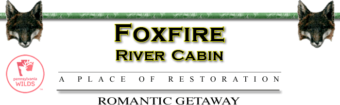 Foxfire Cabin - Cook Forest, PA